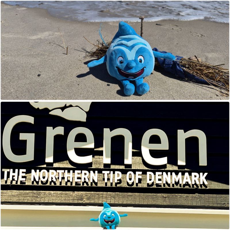 Salinchen @ Grenen