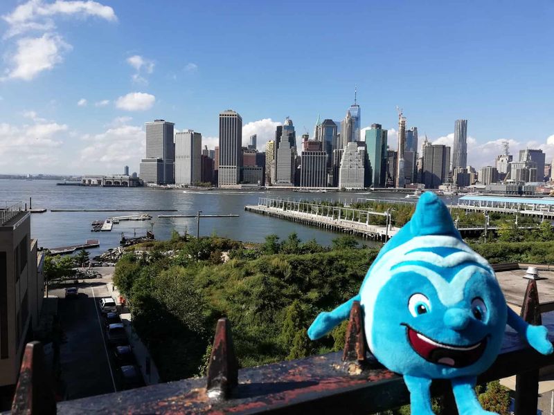 Salinchen @ Brooklyn Heights
