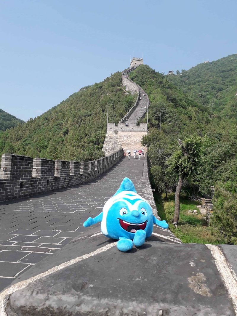 Salinchen @ Chinesische Mauer