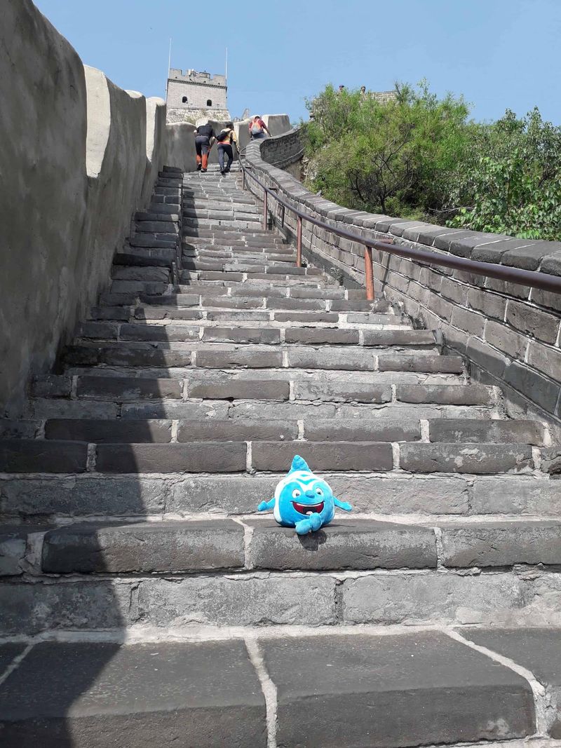 Salinchen @ Chinesische Mauer