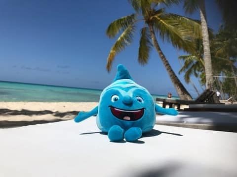 Salinchen @ Isla Saona