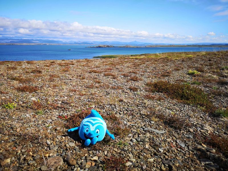 Salinchen @ Faxaskjól, Reykjavík