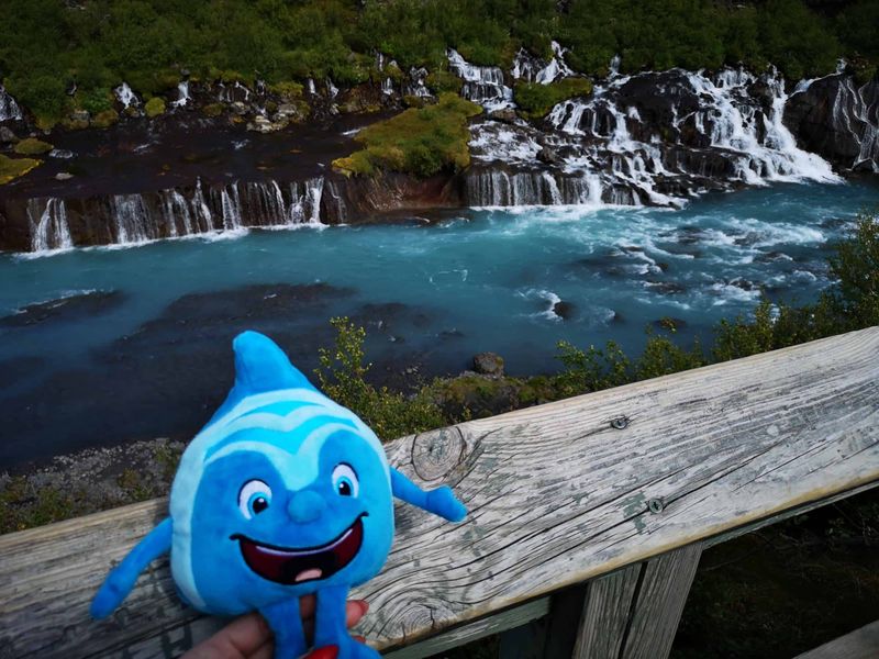 Salinchen @ Hraunfossar