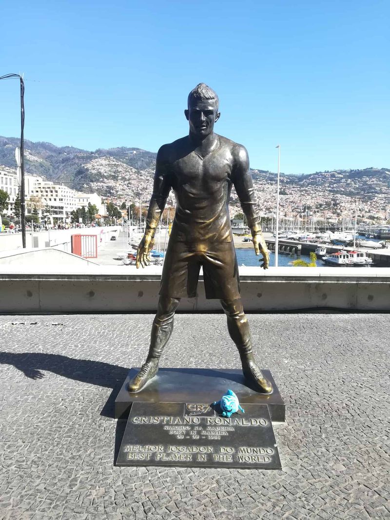 Salinchen @ Funchal
