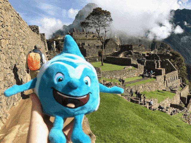 Salinchen @ Peru