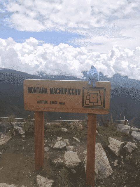 Salinchen @ Peru