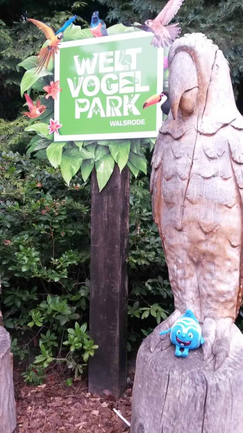 Salinchen @ Vogelpark Walsrode