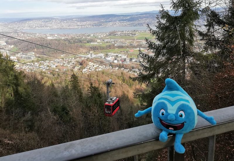 Salinchen @ Zürichsee